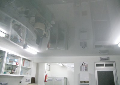Laboratorio –  Inmunolab