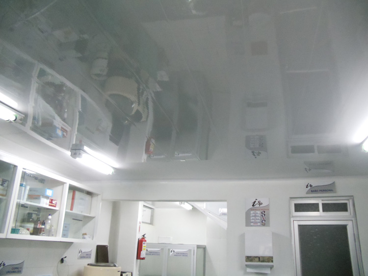 Laboratorio –  Inmunolab