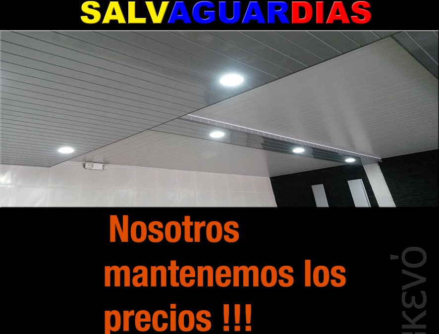 Salvaguardias