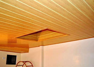 CIELO-MAPLE