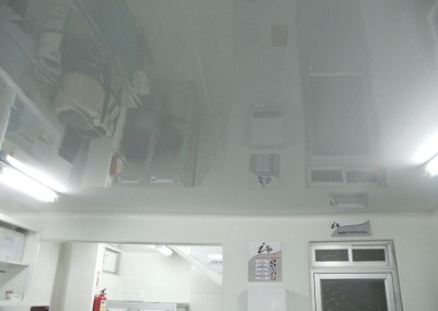 Cielo raso Hospitalario-Laboratorio Inmunolab