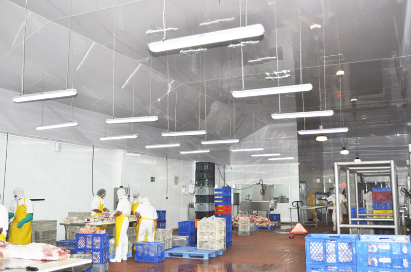 Meat Pro – Industria Alimenticia
